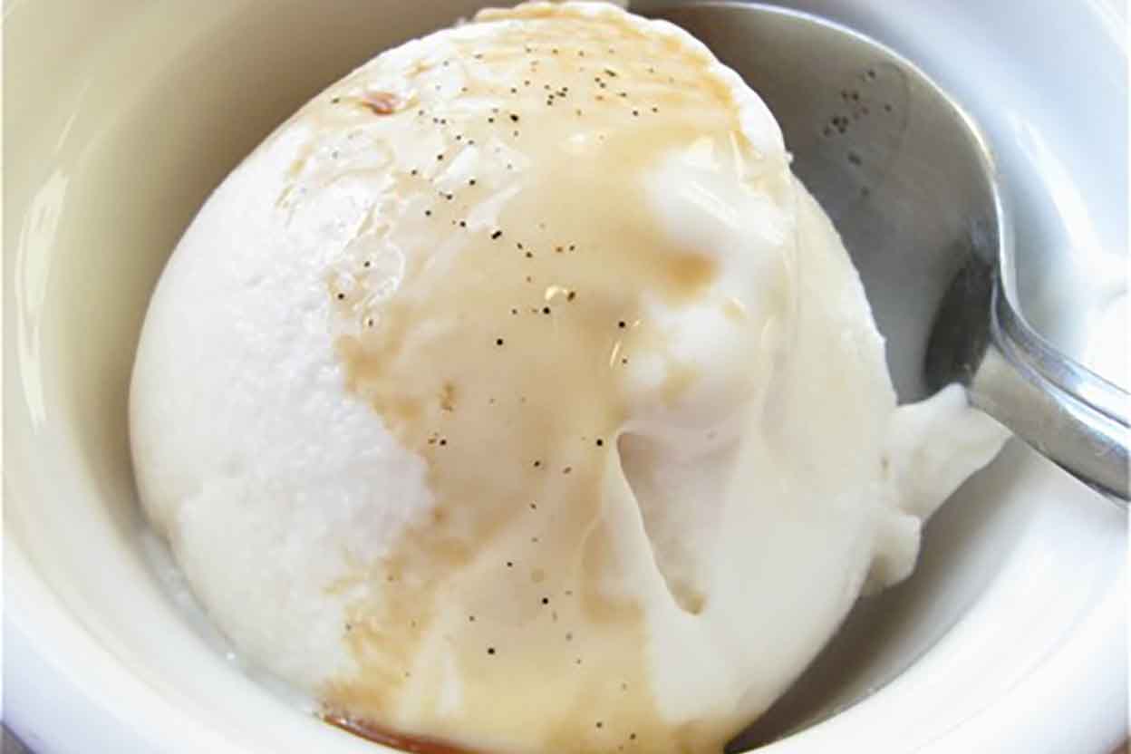 Vanilla Frozen Yogurt Recipe | King Arthur Flour