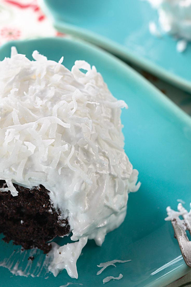 Chocolate Macaroon Cake Recipe King Arthur Flour