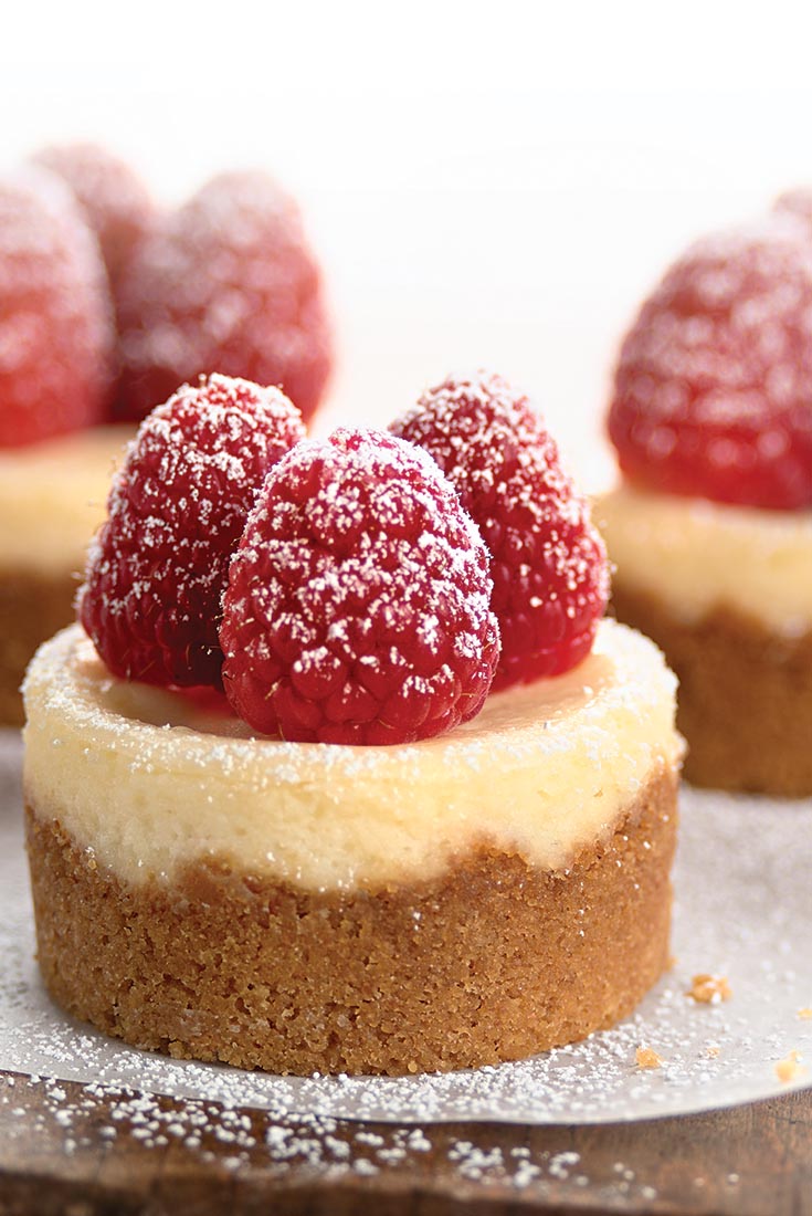 Mini Cheesecakes Recipe | King Arthur Flour