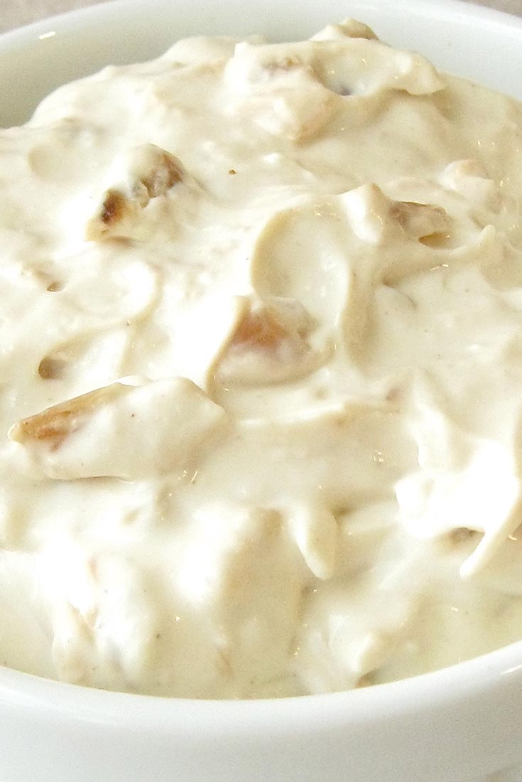 Onion Dip Recipe
