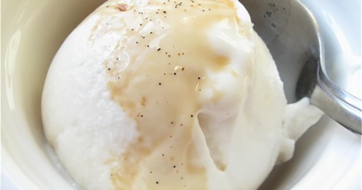 Vanilla Frozen Yogurt Recipe King Arthur Flour