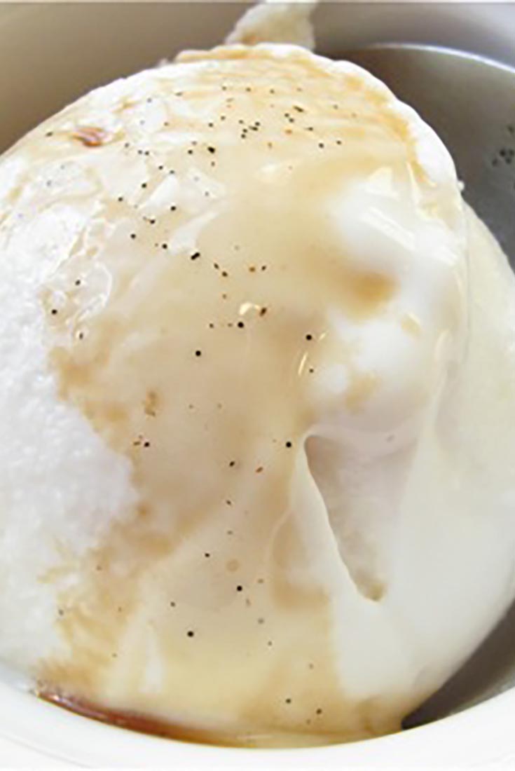 Vanilla Frozen Yogurt Recipe