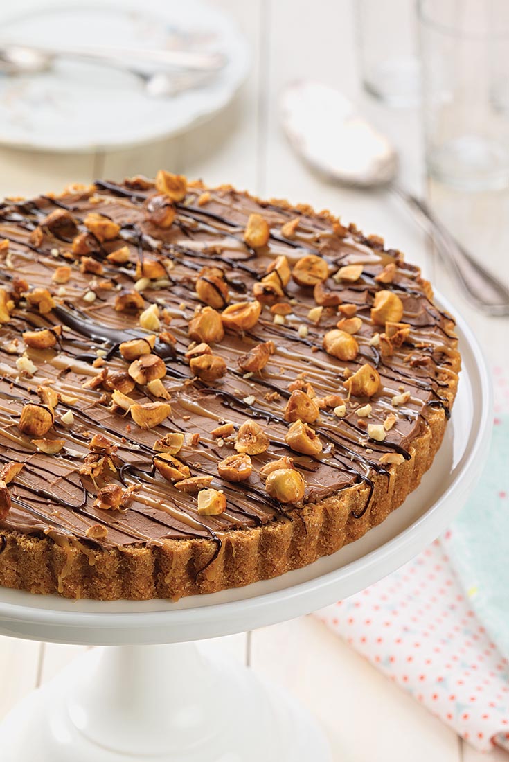 Frozen Chocolate Mousse Tart Recipe