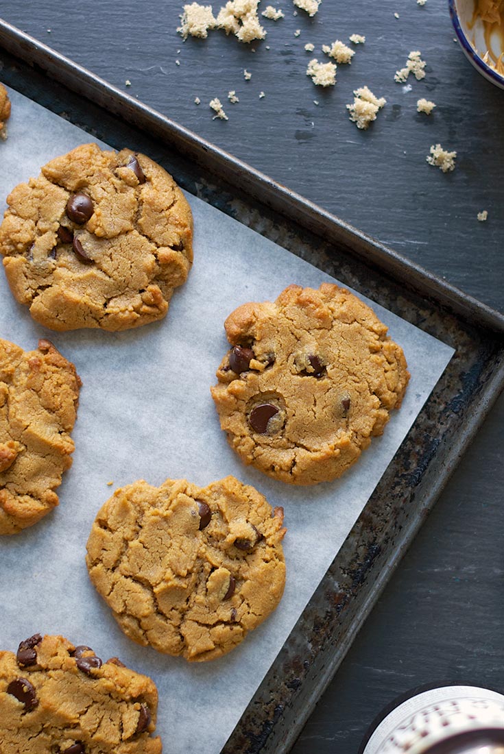 Flourless Peanut Butter Chocolate Chip Cookies Recipe
