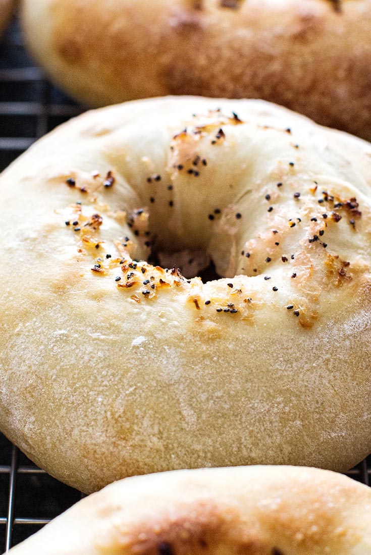 Classic Bialys Recipe