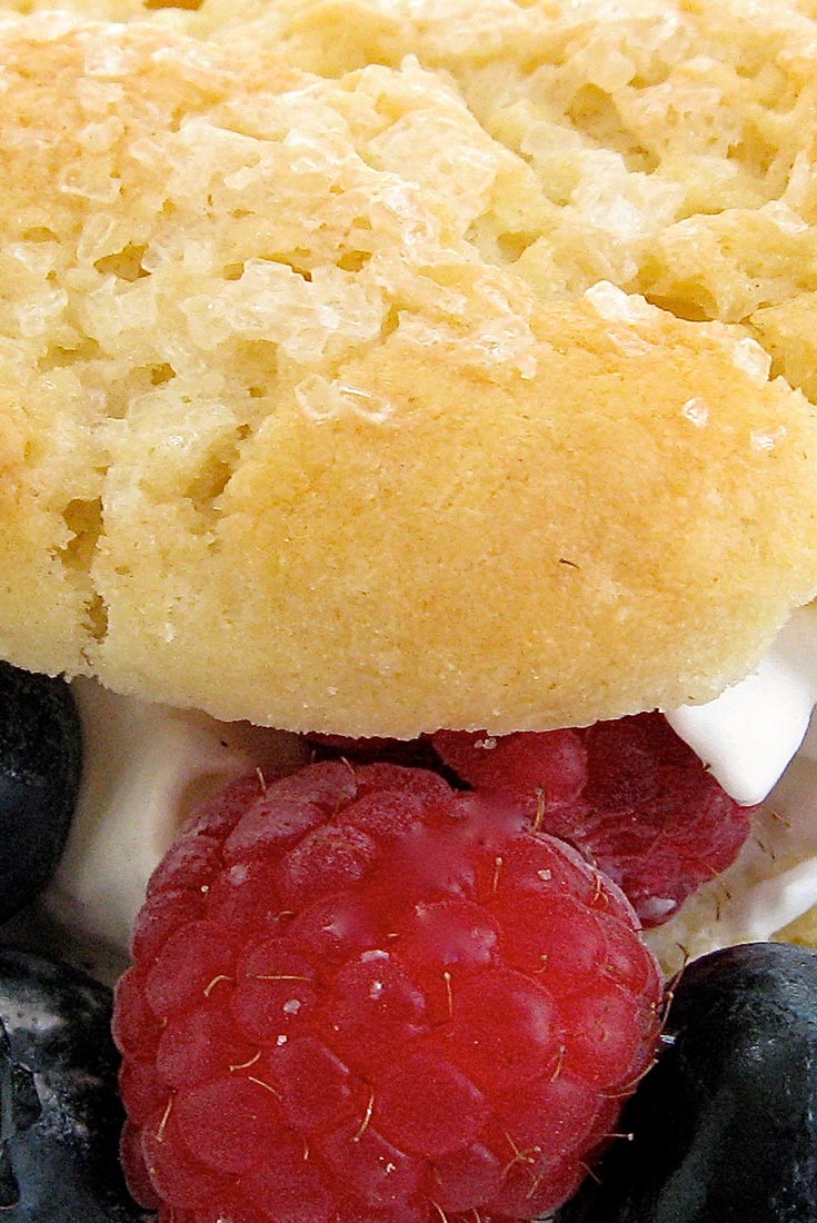 David Lee's Biscuits Recipe