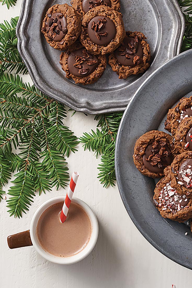 Hot Cocoa Cookies Recipe