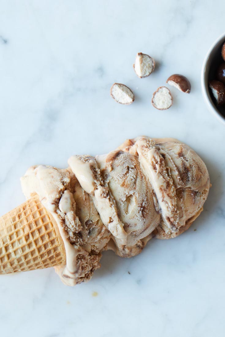 Malted Milk Ice Cream Recipe